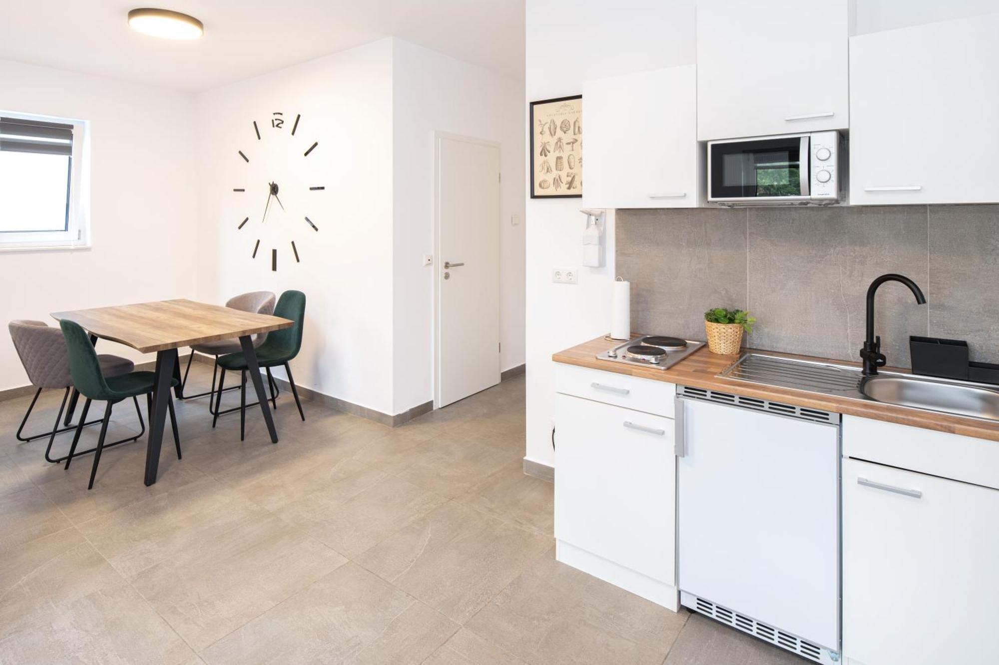 Nibelungen Apartments Worms Rum bild